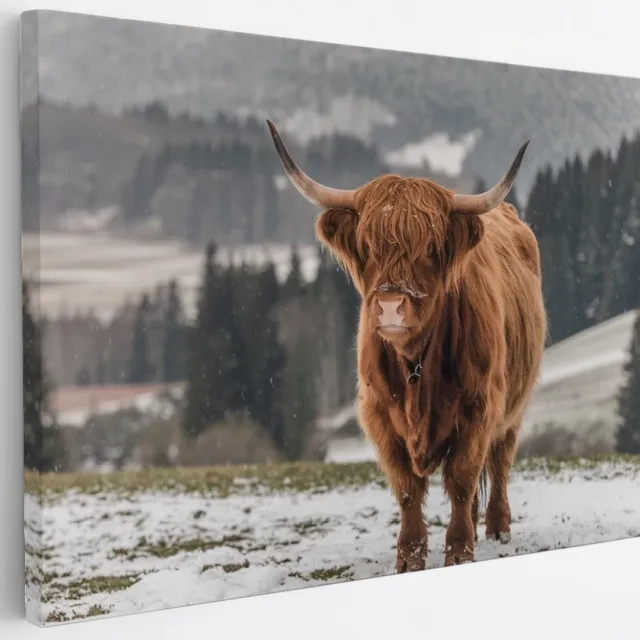 Saammp Canvas Schilderij - 2 Schotse Hooglander Koeien in de sneeuw - Dieren - Natuur - 30x20 - Foto op canvas - Wanddecoratie - muurdecoratie Woonkamer - Slaapkamer decoratie - Canvas Print Multicolor