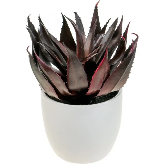 Viana Aloë Vera Kunstplant in Pot Decoratieve Plant Groen H20cm Veelkleurig