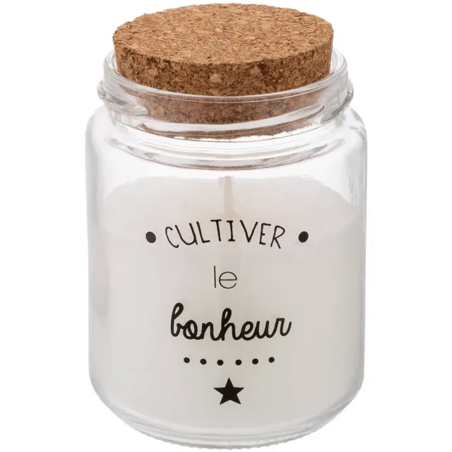 Atmosphera Créateur d'intérieur® Geurkaars Multicolore