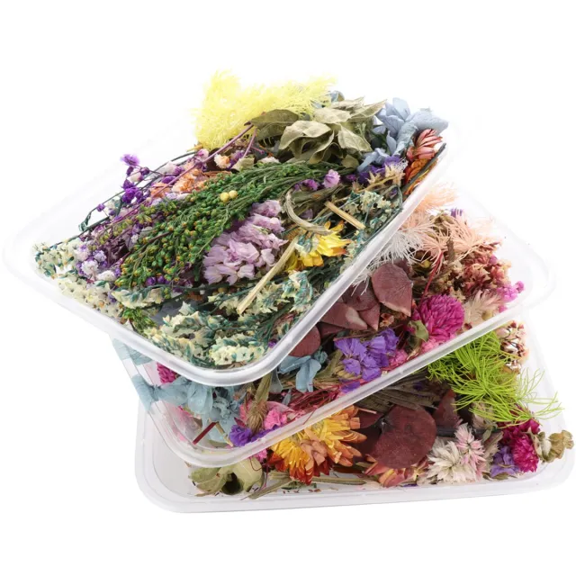 whiqutey Droogbloemen-DIY-Materiaalpakket-Natuurlijk-Eeuwigdurend