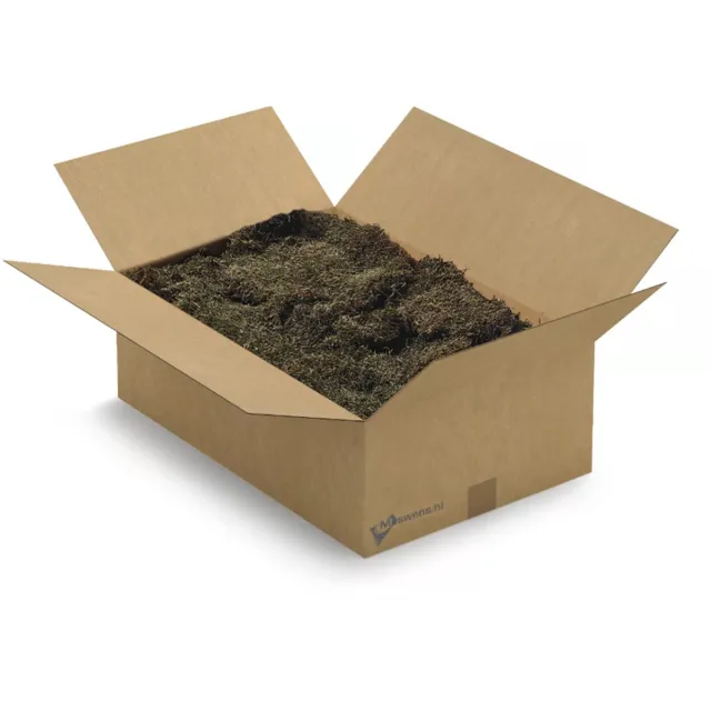 Moswens decoratie mos - Platmos - 3 KG - Doos XL - pine 0,90 m² - Vlak mos voor moswand of mosschilderij Groen