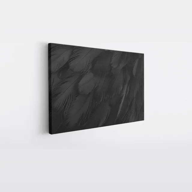 Saammp Canvas Schilderij - Zwarte veren - Abstract kunstwerk - 100x75 - Foto op canvas - Wanddecoratie - Muurdecoratie Woonkamer - Slaapkamer decoratie - Canvas Print Multicolor