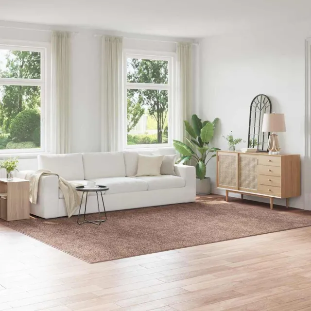 vidaXL Antislip Shaggy Tapijt Bruin 240 x 340 cm PP, foto 2