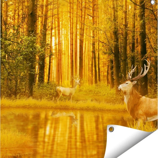 Gards Tuinposter Twee Herten in het Bos bij het Water - 60x60 cm - Tuindoek - Tuindecoratie - Wanddecoratie buiten - Tuinschilderij Multikleur
