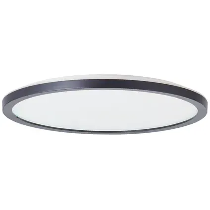 AquaVive - Praxis Eigen Merk Aquavive Plafondlamp Nera Zwart ⌀29,4cm 17,5w