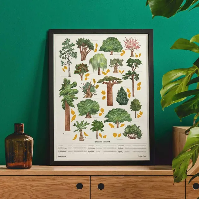 Luckies The Chartologist Poster - Bomen Bruin,Groen,Wit