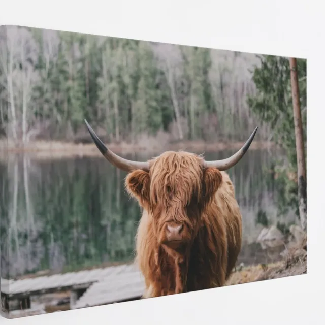 Saammp Canvas Schilderij - Schotse Hooglander Koe bij zonsopgang in herfstachtig bos - Dieren - Natuur - 100x75 - Foto op canvas - Wanddecoratie - muurdecoratie Woonkamer - Slaapkamer decoratie - Canvas Print Multicolor