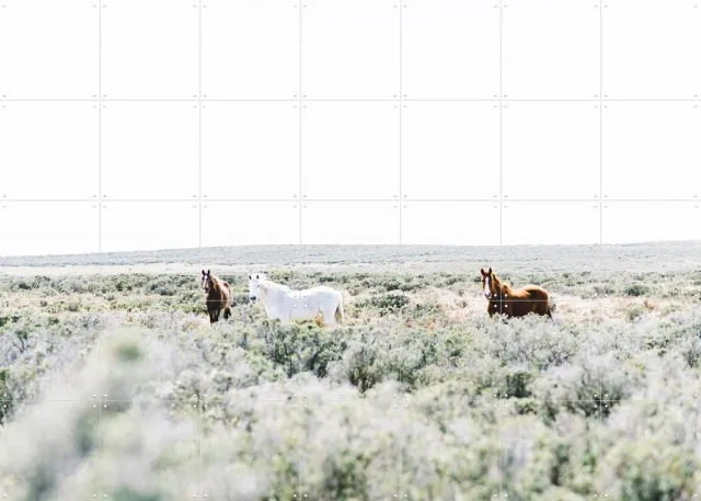 IXXI Wild Horses, Chris Abatzis - 140 x 100 cm - Grote wanddecoratie en posters - Fotografie, Naturalisme, Slaapkamer, Woonkamer, Landschappen Pastel kleuren / Lichte tinten / Wit