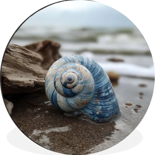 WallCircle Wandcirkel - Muurcirkel - Schelp - Strand - Blauw - Zee - Aluminium - Dibond - 60x60 cm - Binnen en Buiten