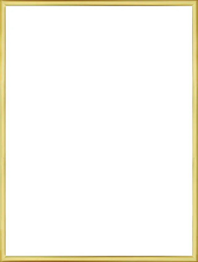 Homedecoration Almelo – Fotolijst – Fotomaat – 25 x 76 cm – Goud Glans