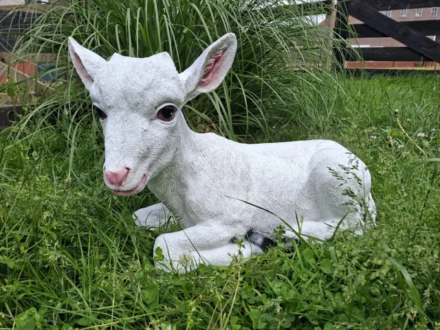 funproducts.nl Levensecht Geitje Tuinbeeld XL - 68 cm Lang - Wit Liggend Lammetje - Polystone - Gedetailleerd Dierenbeeld voor Tuin, Terras en Erf Origineel