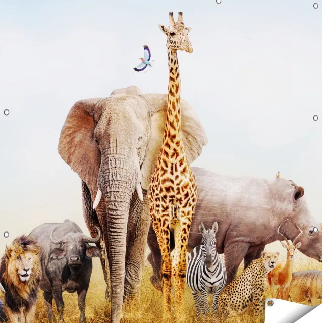 Gards Tuinposter Afrikaanse Dieren op het Gras - Afrika - 110x110 cm - Tuindoek - Tuindecoratie - Wanddecoratie buiten - Tuinschilderij Multikleur