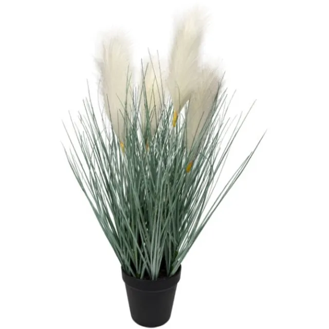 Oosterik Home Pampasgras wit H 60 cm kunstplant Oosterik Home onbekend