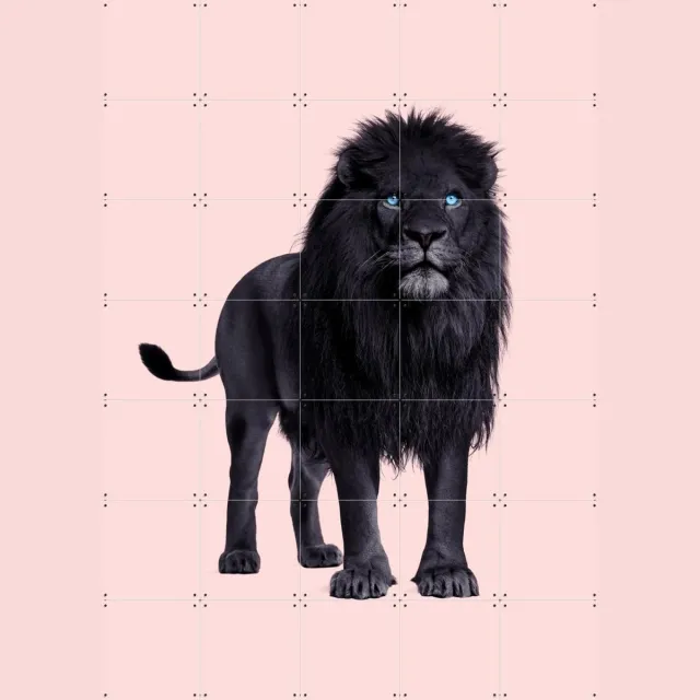IXXI Black Lion, Paul Fuentes - 100 x 140 cm - Grote wanddecoratie en posters - Fotografie, Wilde dieren Warme kleuren