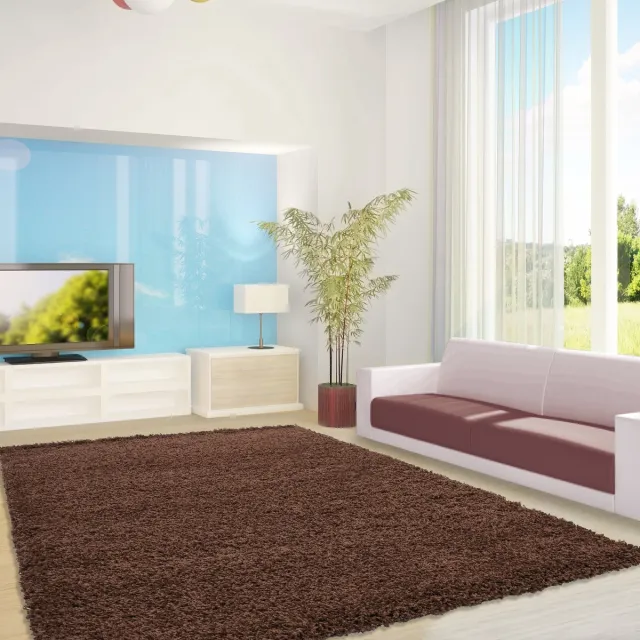 Ayyildiz Hoogpolig vloerkleed, effen kleur - bruin, vloerkleed voor de woonkamer, jute achterkant, afmeting: 120 cm x 170 cm