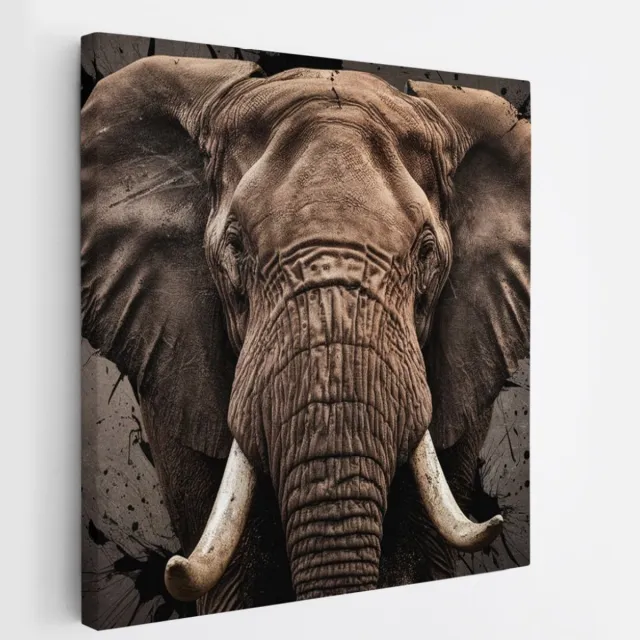 Saammp Canvas Schilderij - Olifant - Portret - Dieren - 40x40 - Foto op canvas - Wanddecoratie - muurdecoratie Woonkamer - Slaapkamer decoratie - Canvas Print Multicolor