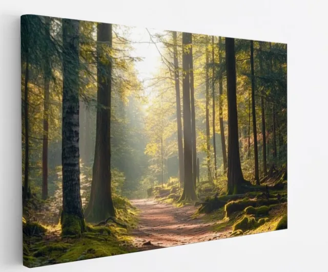 Saammp Canvas Schilderij - Natuur - Pad - Bos - landschap - 120x80 - Foto op canvas - Wanddecoratie - Muurdecoratie Woonkamer - Slaapkamer decoratie - Canvas Print Multicolor