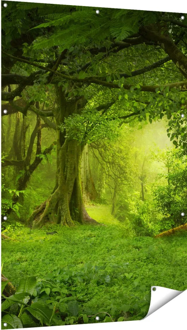 Gards Tuinposter Groene Tropische Jungle Bos - 100x150 cm - Tuindoek - Tuindecoratie - Wanddecoratie buiten - Tuinschilderij Multikleur