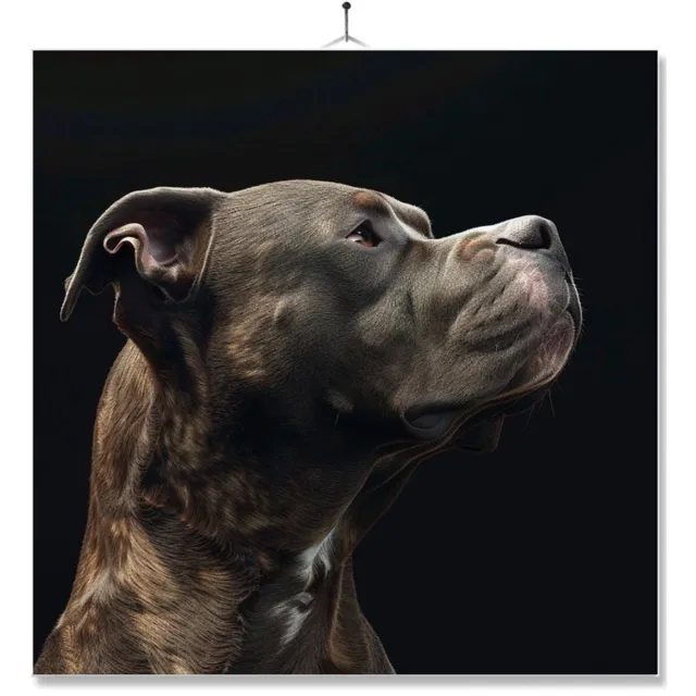 MC Living Tegel Met Opdruk | Geschenk | Dier | Closeup | Pitbull Ontwerp 3