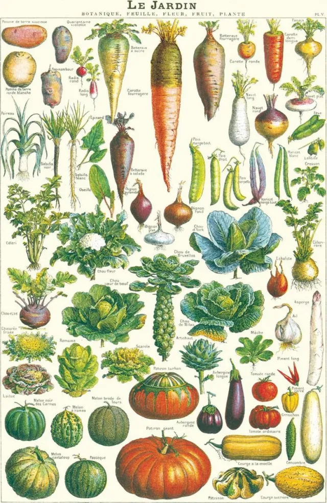 Cavallini & Co Poster De Tuin - Cavallini & Co - Schoolplaat Le Jardin Multi Color