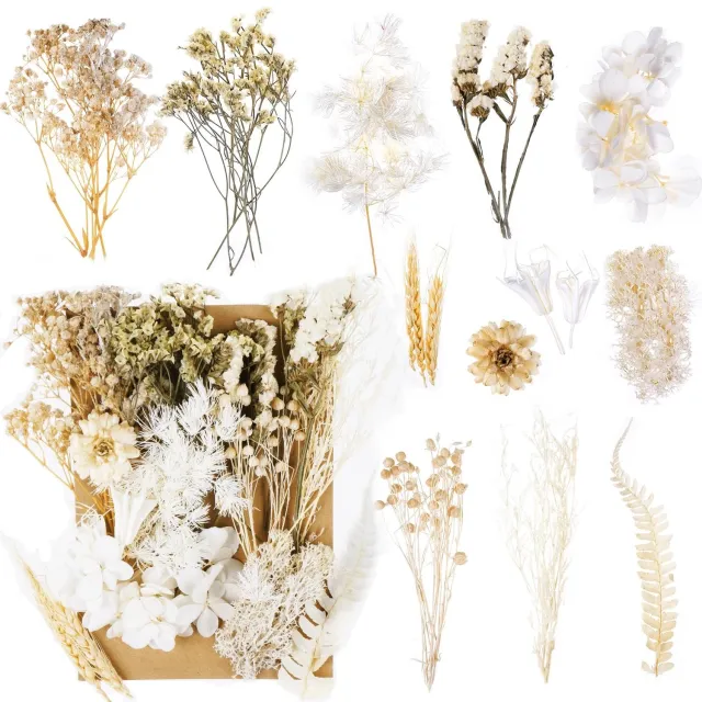 Famanu Decoratieve gedroogde bloemen voor hars en scrapbooking 12 soorten