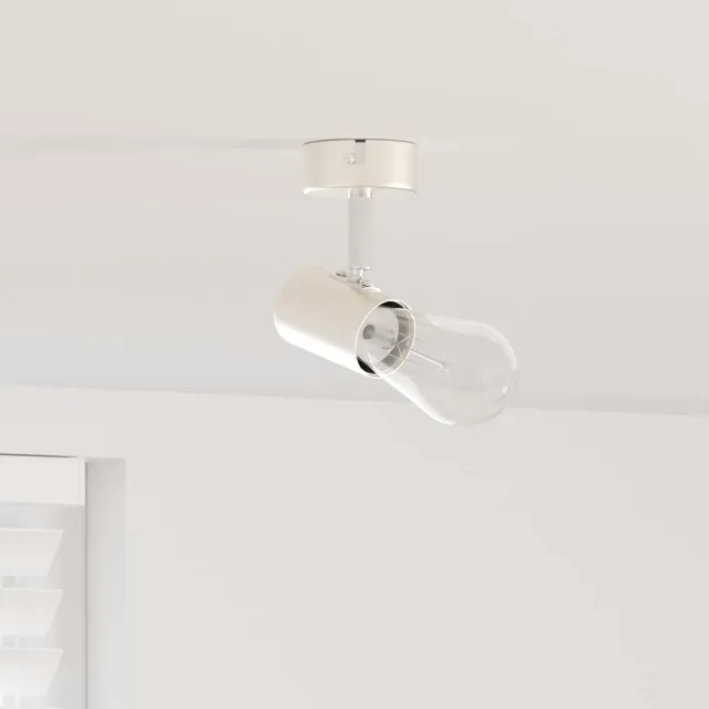 vidaXL Plafondspot met schijnwerpers Nikkel 6,5 x 6 x 11,5 cm Metaal
