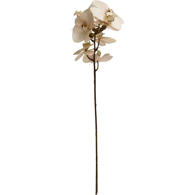 homebound by ky Kunsttak Vlinderorchidee 101cm off-white Beige