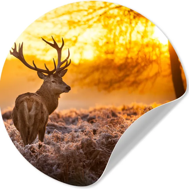 WallCircle Behangcirkel - Zelfklevend behang - Hert - Zonsondergang - Bosdieren - Winter - 30x30 cm - Woondecoratie - Behangsticker Oranje