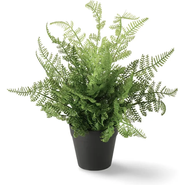 Dulaire Kunstplant Varen In Pot 2 st. groen