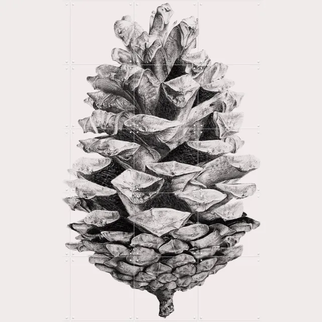 IXXI Pinecone, IXXI - 100 x 140 cm - Grote wanddecoratie en posters - Illustraties, Grafisch Ontwerp, Line art, Slaapkamer, Woonkamer, Kerst, Natuur Monochroom / Warme kleuren / Bruin / Wit