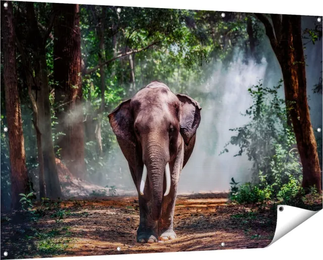 Gards Tuinposter Olifant in het Bos - 150x100 cm - Tuindoek - Tuindecoratie - Wanddecoratie buiten - Tuinschilderij Multikleur