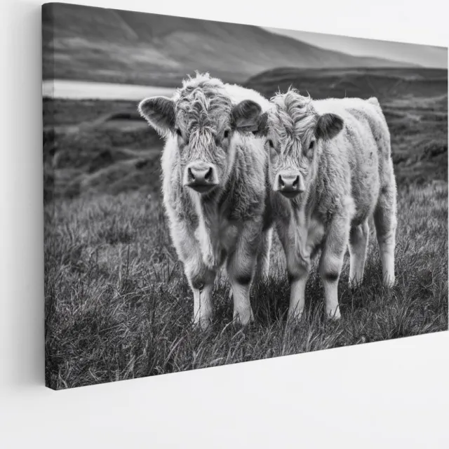 Saammp Canvas Schilderij - 2 Schotse Hooglander Koeien in Schotland - Natuur - Dieren - 90x60 - Foto op canvas - Wanddecoratie - Muurdecoratie Woonkamer - Slaapkamer decoratie - Canvas Print Multicolor