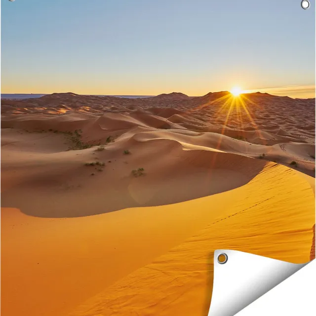 Gards Tuinposter Woestijn in de Sahara met een Opkomende Zon - 60x60 cm - Tuindoek - Tuindecoratie - Wanddecoratie buiten - Tuinschilderij Multikleur