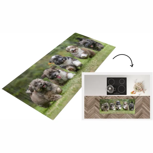 KitchenYeah Keukenloper - Loper keuken - Puppy's - Honden - Dieren - Keukenloper vinyl Multicolor