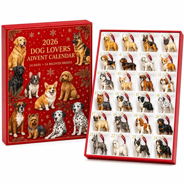 SWGOTA Honden-adventskalender 2026 met 24 hangdecoraties, genummerde vakken en rode kerstdoos, 26 x 18 x 3 cm Rood