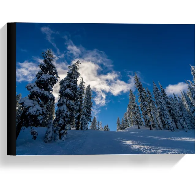 KuijsFotoprint Canvas - Blauwe Lucht met Besneeuwde Bomen - 40x30cm Foto op Canvas Schilderij (Wanddecoratie op Canvas)