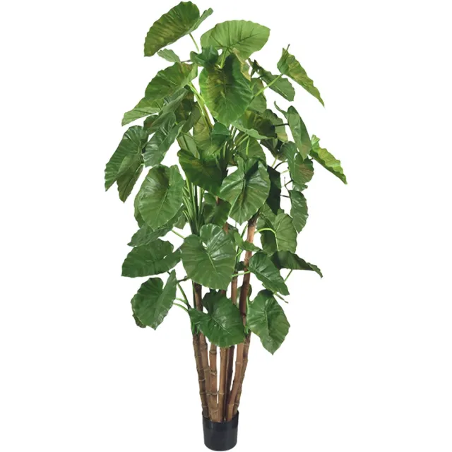 maxifleur Kunstplanten Alocasia Calidora Giant deluxe kunstboom 210cm Groen
