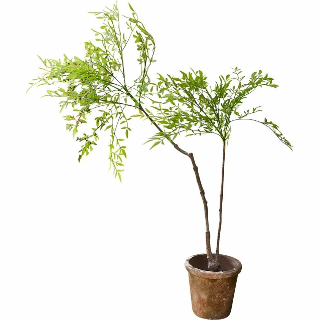 Loberon Decoratieve potplant, 2e keuze Avenelle groen