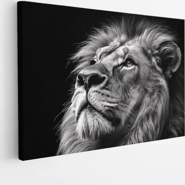 Saammp Canvas Schilderij - Leeuwen portret - Zwart-Wit - Afrika - Dieren - Kunst - 120x80 - Foto op canvas - Wanddecoratie - Muurdecoratie Woonkamer - Slaapkamer decoratie - Canvas Print Multicolor