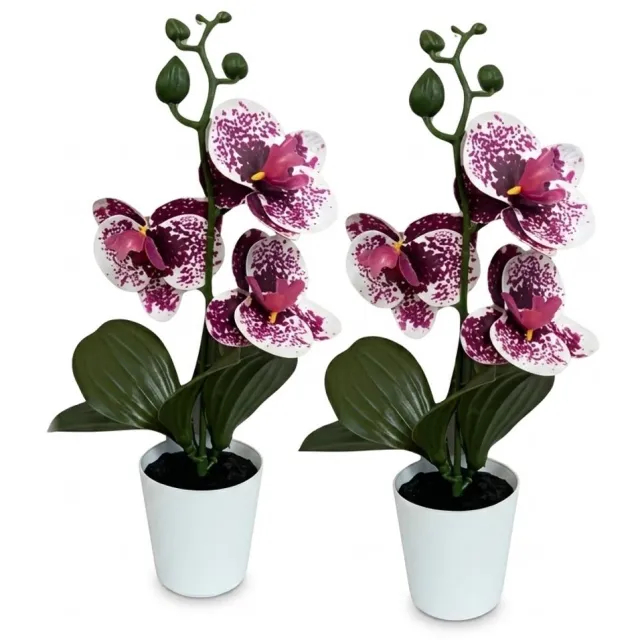 NUVEX Paarse kunstorchidee kunstplant kunstplanten set van 2 orchidee bloemen in witte pot decoratie voor woonkamer slaapkamer kantoor en vensterbank