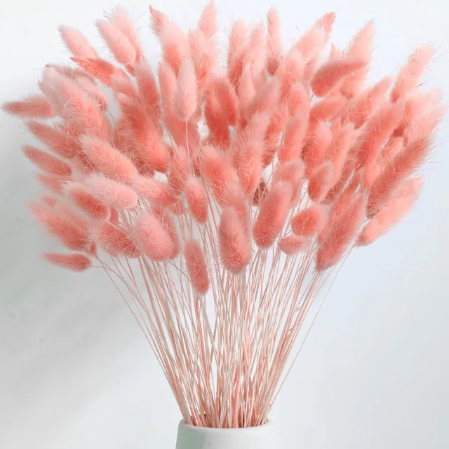 Ibenzoa Uitgebreide Pampasgras- en Droogbloemencollectie voor Romantische Bruiloften en Gezellige Woondecoratie Roze