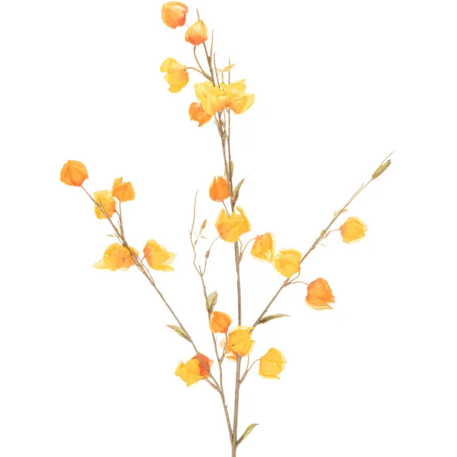 DPI GmbH Kunstmatige Chinese lampionplant, Physalis-tak met bloesem, 95 cm Orange