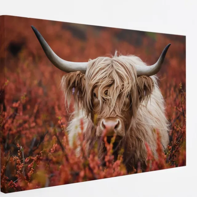 Saammp Canvas Schilderij - Schotse Hooglander Koeien in de sneeuw - Landschap - Dieren - Natuur - 100x75 - Foto op canvas - Wanddecoratie - muurdecoratie Woonkamer - Slaapkamer decoratie - Canvas Print Multicolor