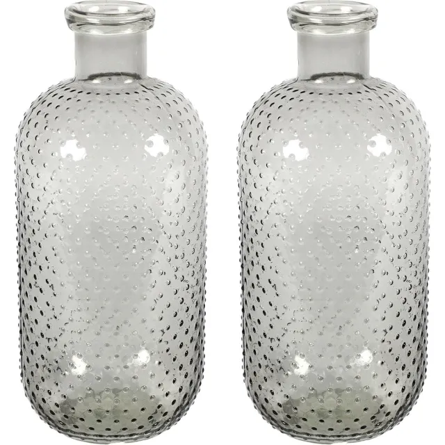 Countryfield Bloemenvaas Cactus Dots - 2x - grijs transparant - glas - D15 x H35 cm