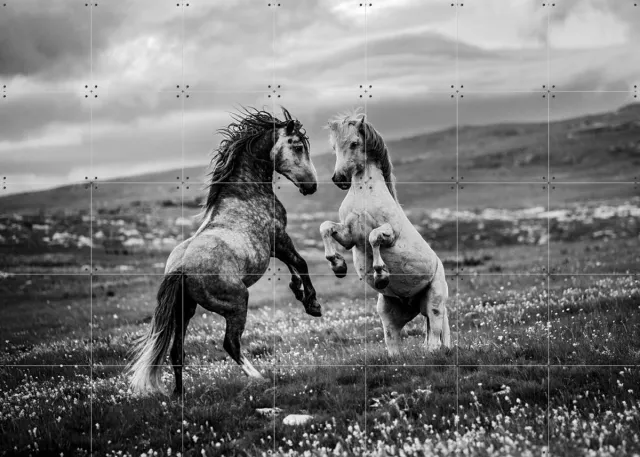 IXXI Wild and Free, Bridgeman Images - 140 x 100 cm - Grote wanddecoratie en posters - Fotografie, Woonkamer, Dieren, Wilde dieren, Natuur Zwart / Monochroom / Zwart en wit