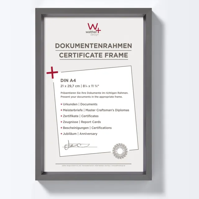 Walther Steel Style - Kunststof lijst - Fotoformaat 21x29.7 cm - Staal