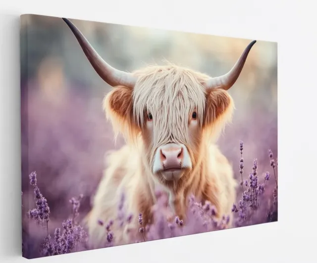 Saammp Canvas Schilderij Schotse Hooglander Koe Portret - Dieren - Natuur - 40x30 - Foto op canvas - Wanddecoratie - muurdecoratie Woonkamer - Slaapkamer decoratie - Canvas Print Multicolor