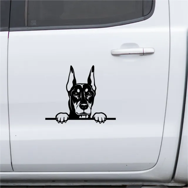 Alleenmaarstickers.com 6 Raamstickers / autostickers dobermann - transparante zelfklevende sticker - 1 x 35cm, 1 x 25cm en 4 x 15cm, uitgesneden sticker - honden sticker - zwarte opdruk