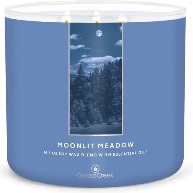 Goose Creek Candle Moonlit Meadow Goose Creek Candle 411 grams zilver blauw