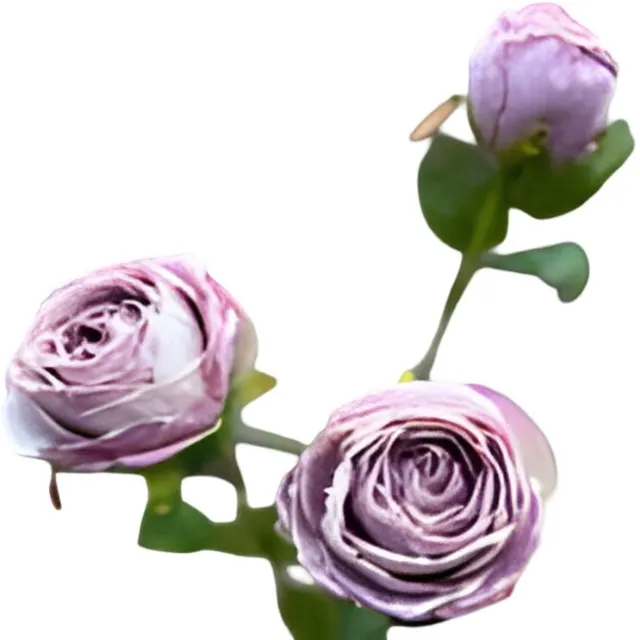 Buitengewoon Boet Roze 3 knoopjes licht violet Buitengewoon de Boet
